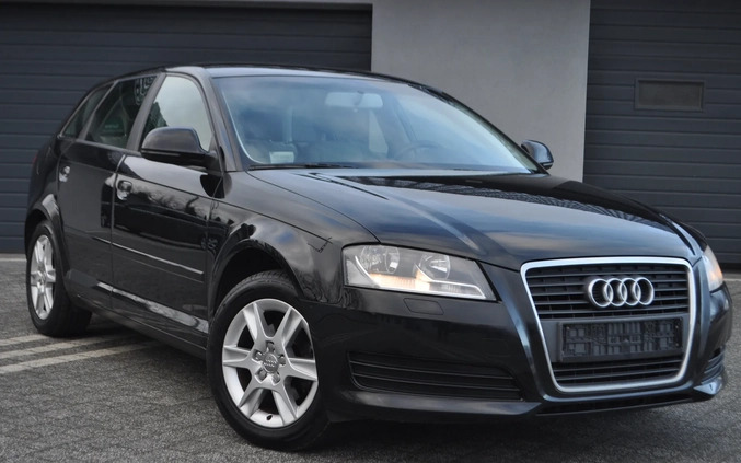 Audi A3 cena 24499 przebieg: 220000, rok produkcji 2008 z Legnica małe 781